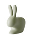 Wehkamp Chair rabbit