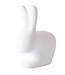 Wehkamp Chair rabbit