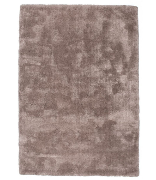 Carpetright Carpet velvet