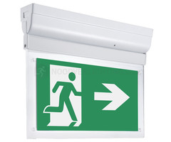 LP4-2-20S1 - 2 watt noodverlichting LED opbouw kantelbaar incl. set pictogrammen en LiFePo4 accupack