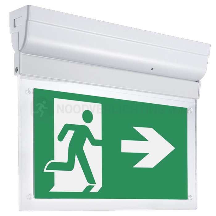 LP4-2-20S1 - 2 watt noodverlichting LED opbouw kantelbaar incl. set pictogrammen en LiFePo4 accupack
