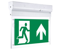 2 watt noodverlichting kantelbaar incl. LiFePo4 accu en pictogrammen