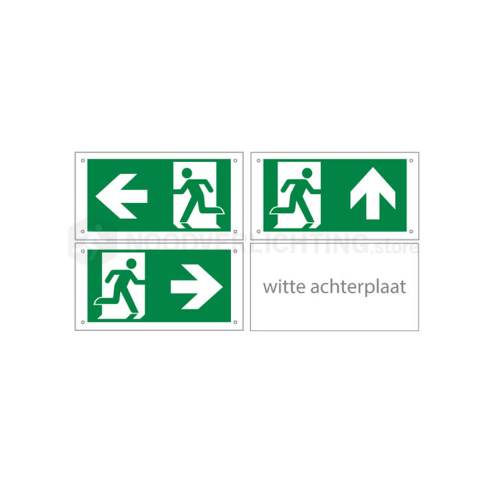 LP4-2-20S1 - 2 watt noodverlichting LED opbouw kantelbaar incl. set pictogrammen en LiFePo4 accupack