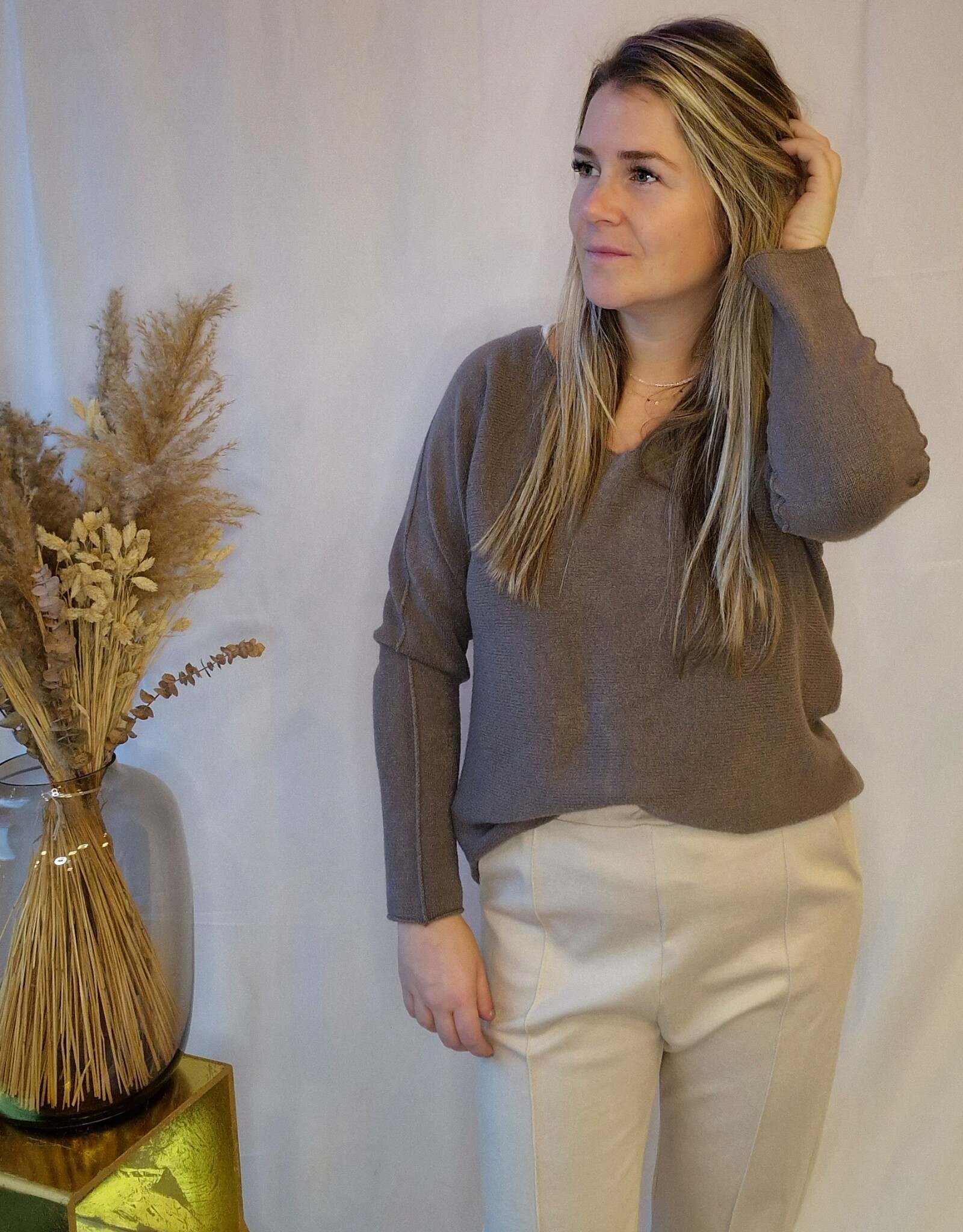 Basic V-Neck sweater taupe