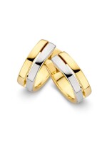 Gouden Haag Jewellery Creool bicolor
