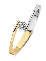 Gouden Haag Jewellery Ring Bicolor 585 Zirkonia 56