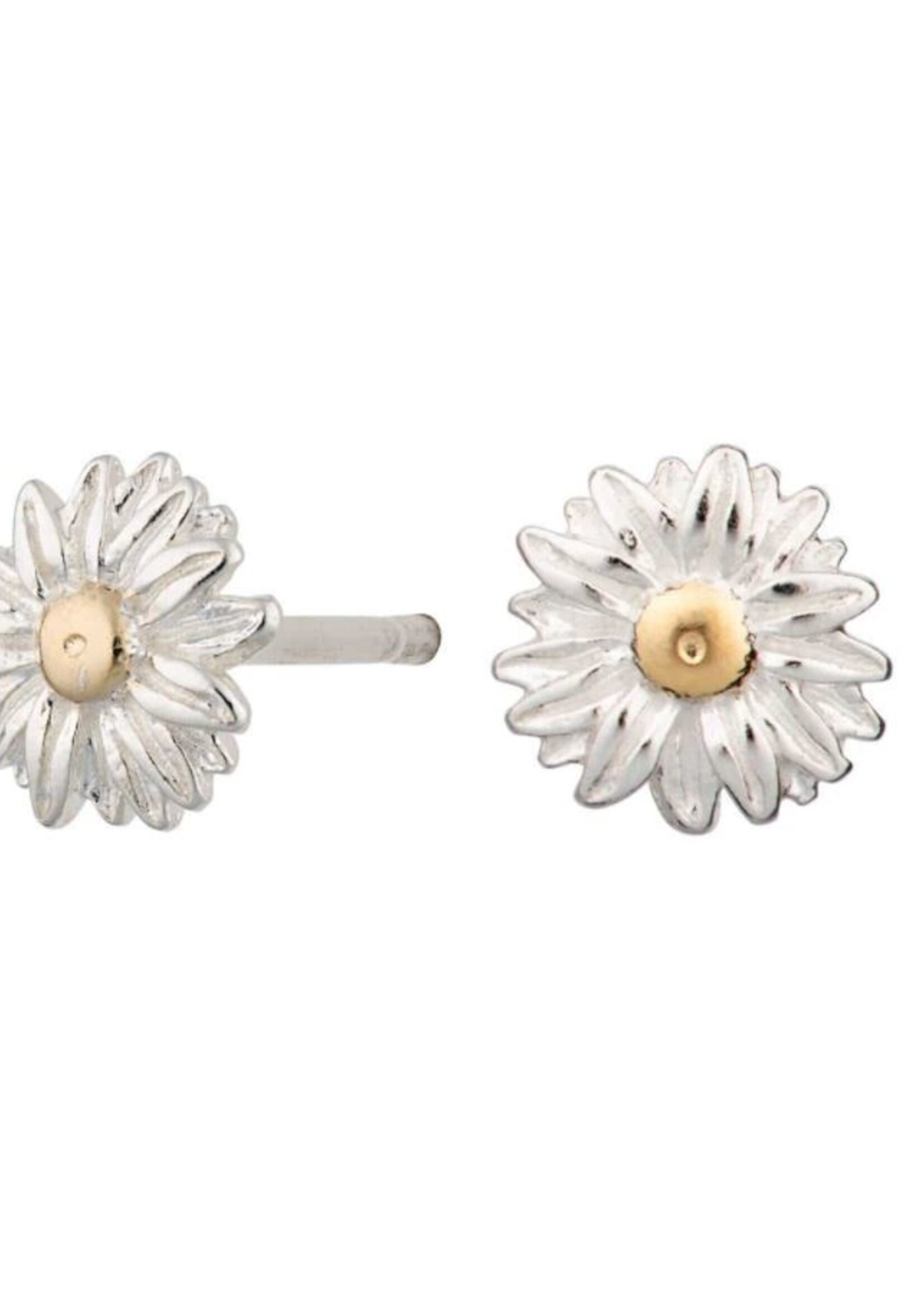 Lily Charmed Lily Charmed Zilver Daisy Oorknopjes