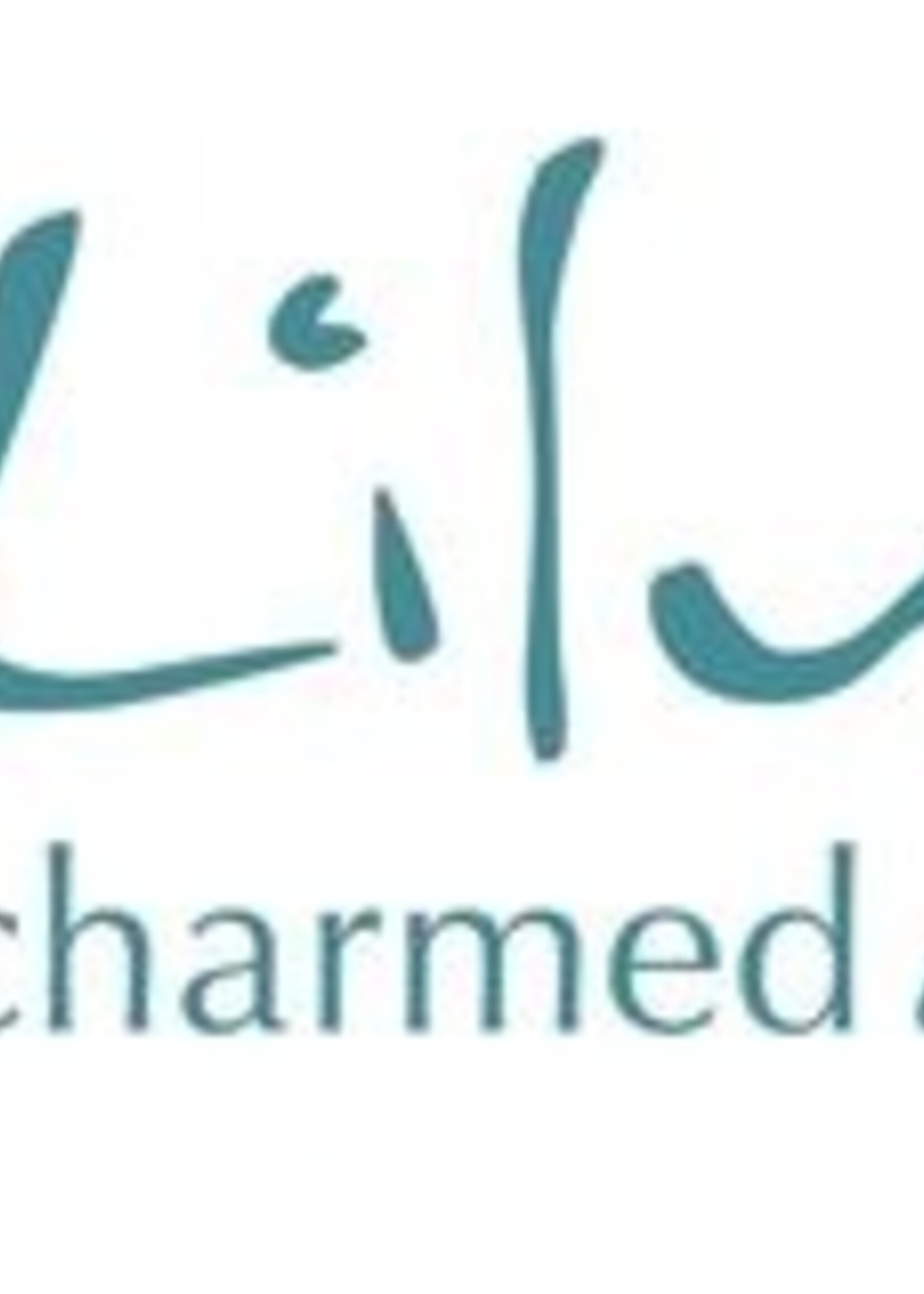 Lily Charmed Lily Charmed  Silver Daisy Chain Necklace