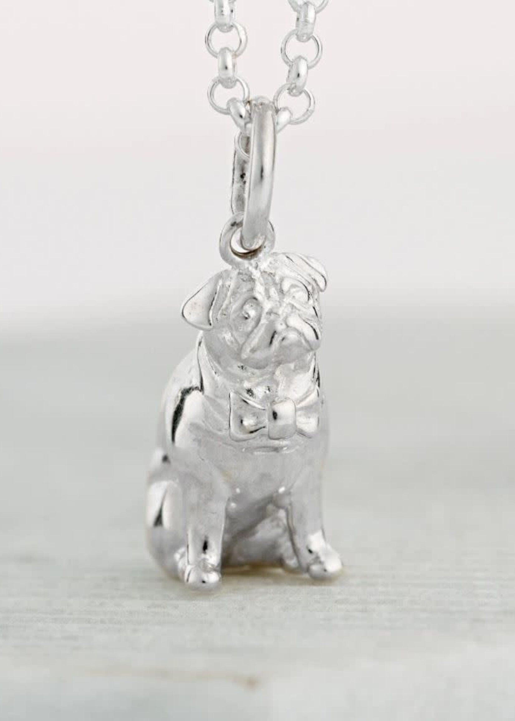 Lily Charmed Silver Pug Necklace with 'Life Is Better With A Dog' Message
