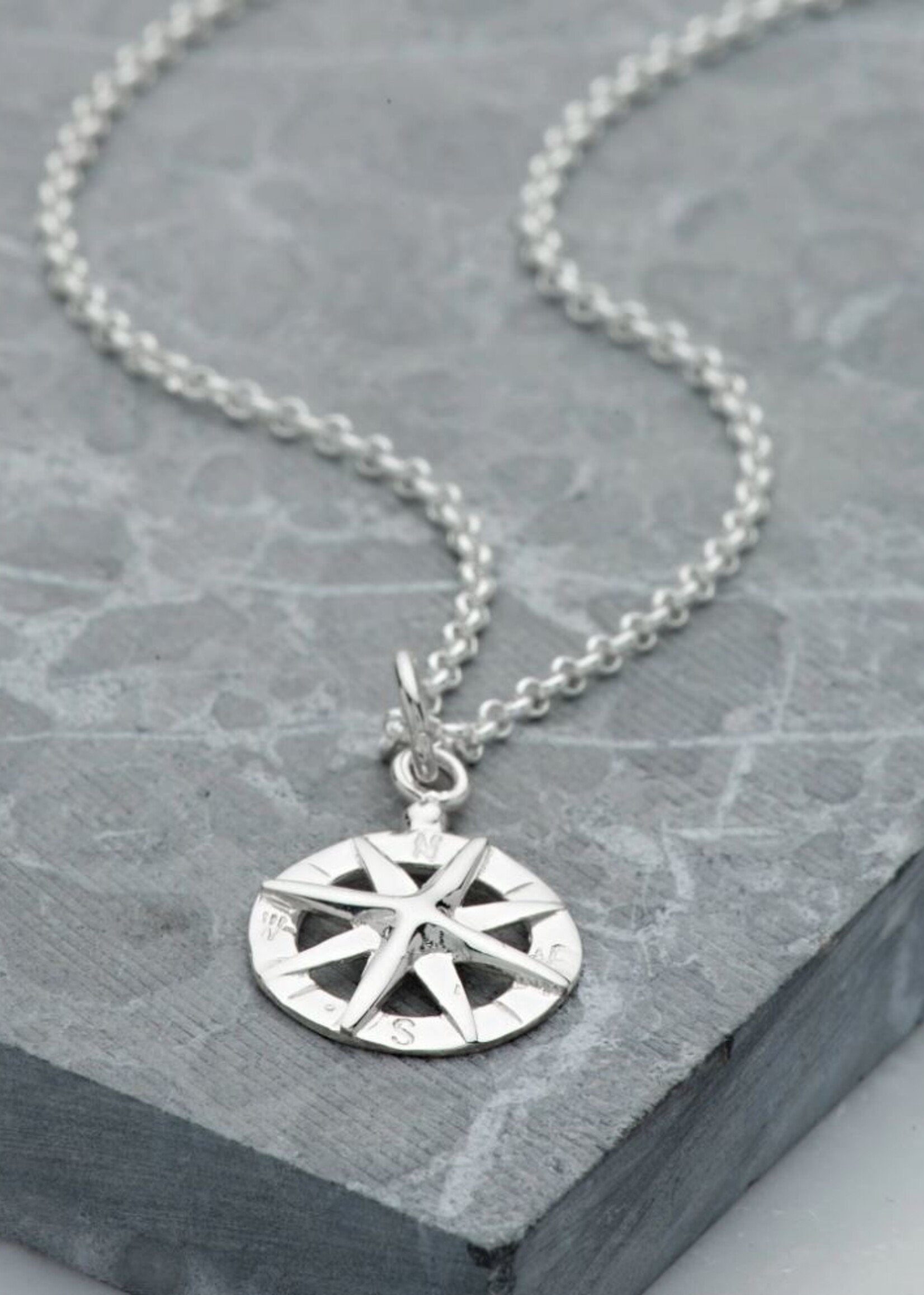 Lily Charmed Lily Charmed Silver Compass Necklace