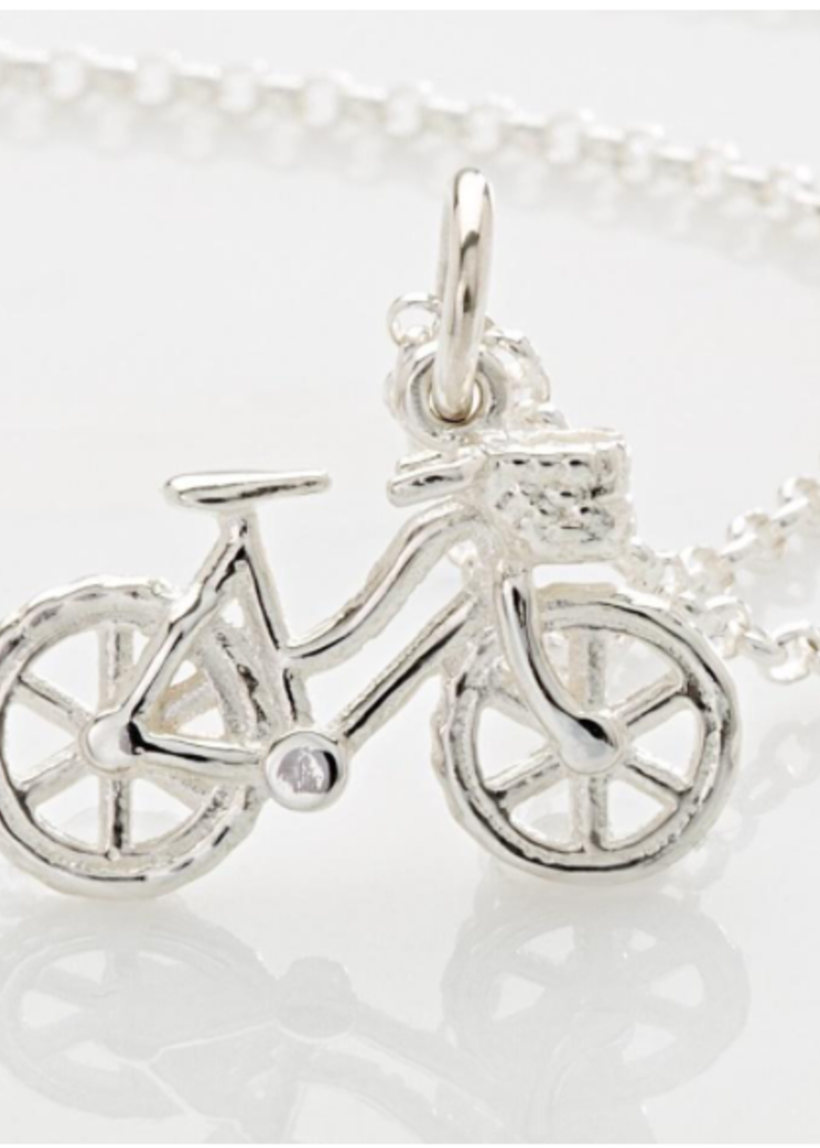 Lily Charmed Silver Bicycle Necklace with Adventure Message