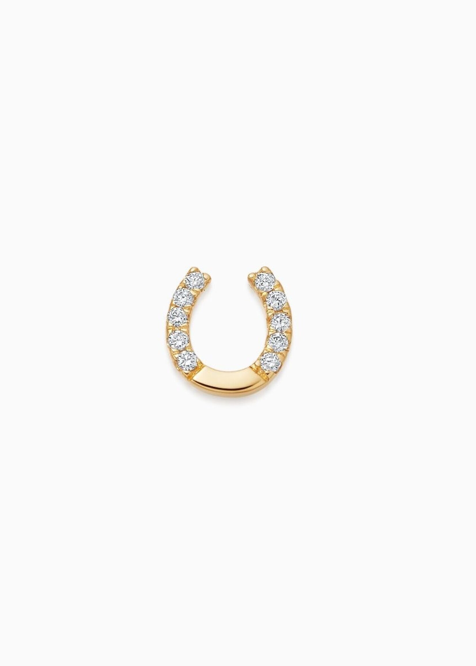 diamond horseshoe - protection