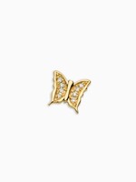 Diamond butterfly - Metamorphosis