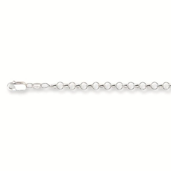 Gouden Haag Jewellery Silver Necklace Chain Jasseron