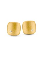 Gouden Haag Jewellery Geelgouden Oorstekers Zirkonia