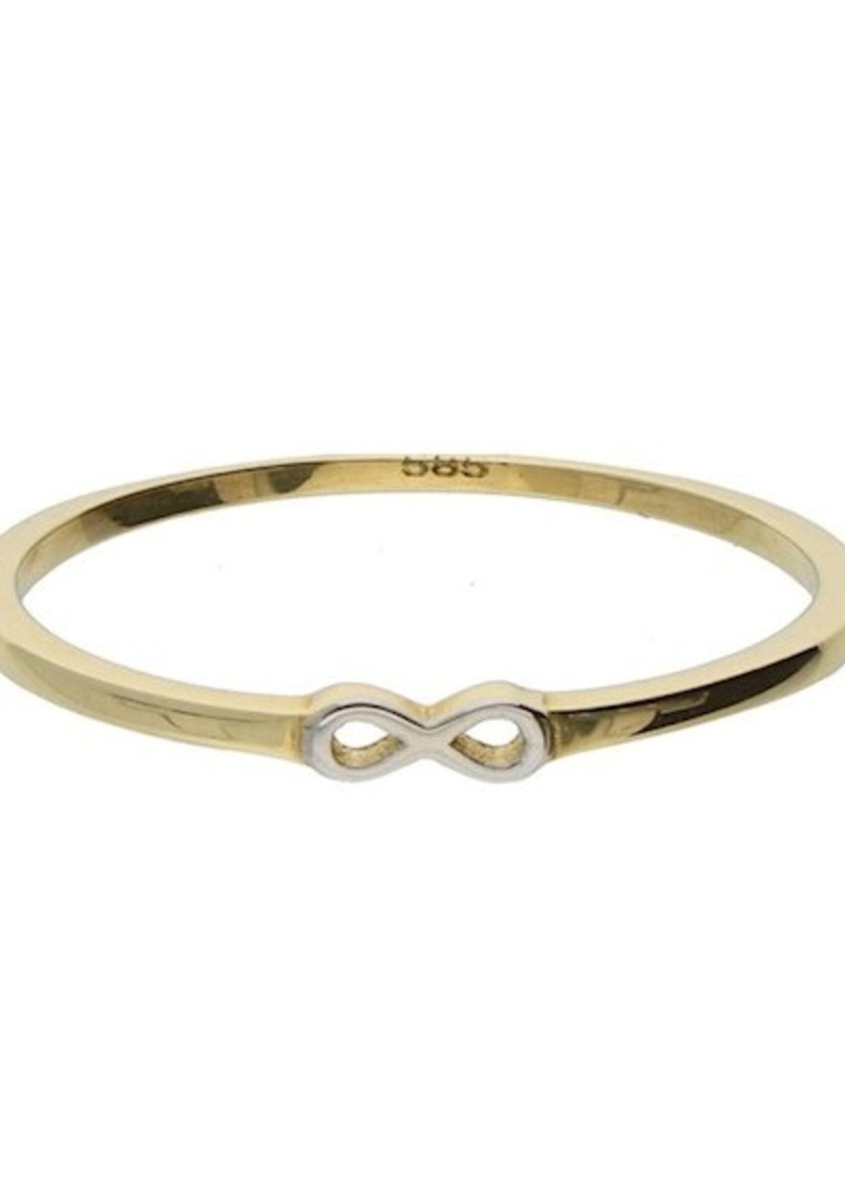 Gouden Haag Jewellery Gouden Oorknopjes Infinity