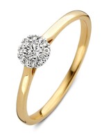 Gouden Haag Jewellery Ring Brillant 0.15 crt
