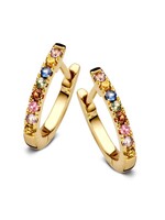 Gouden Haag Jewellery Oorringen Geelgoud Saffier