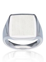Gouden Haag Jewellery Zilveren Zegelring