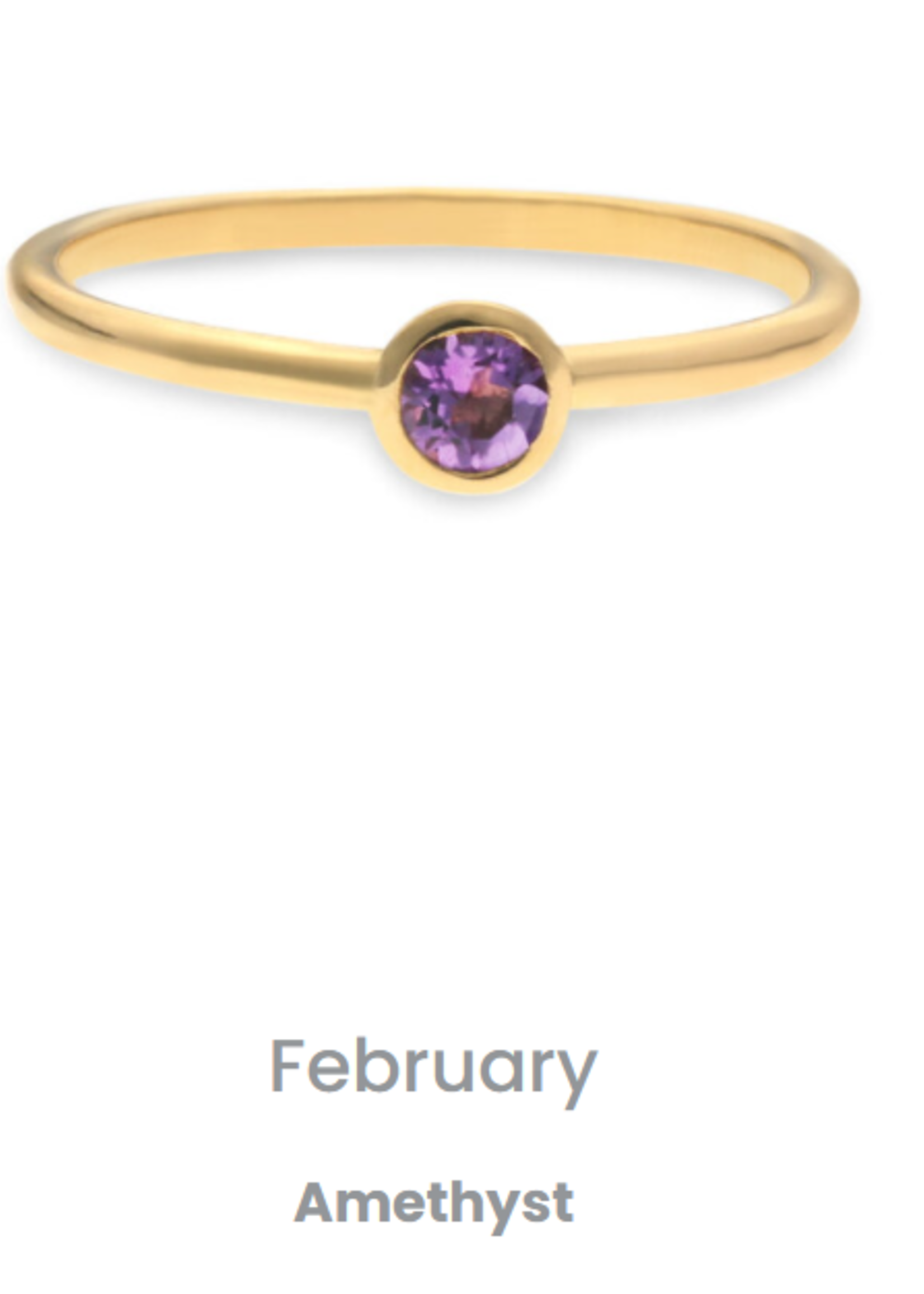 Swing Jewels Birthstone Ring February Amethyst