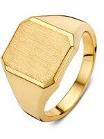 Gouden Haag Jewellery Zegelring geelgoud massief