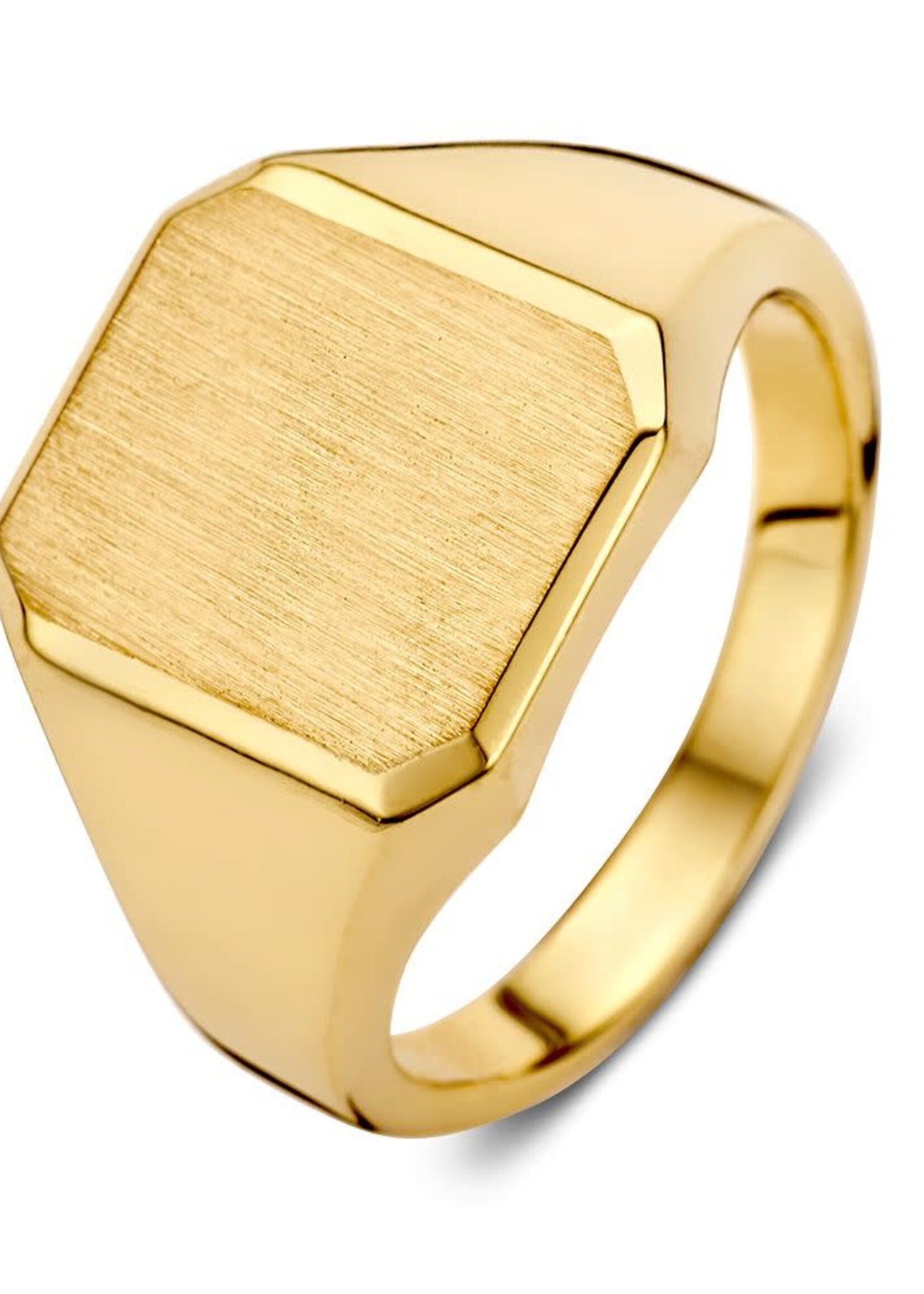 Gouden Haag Jewellery Zegelring Geelgoud Massief