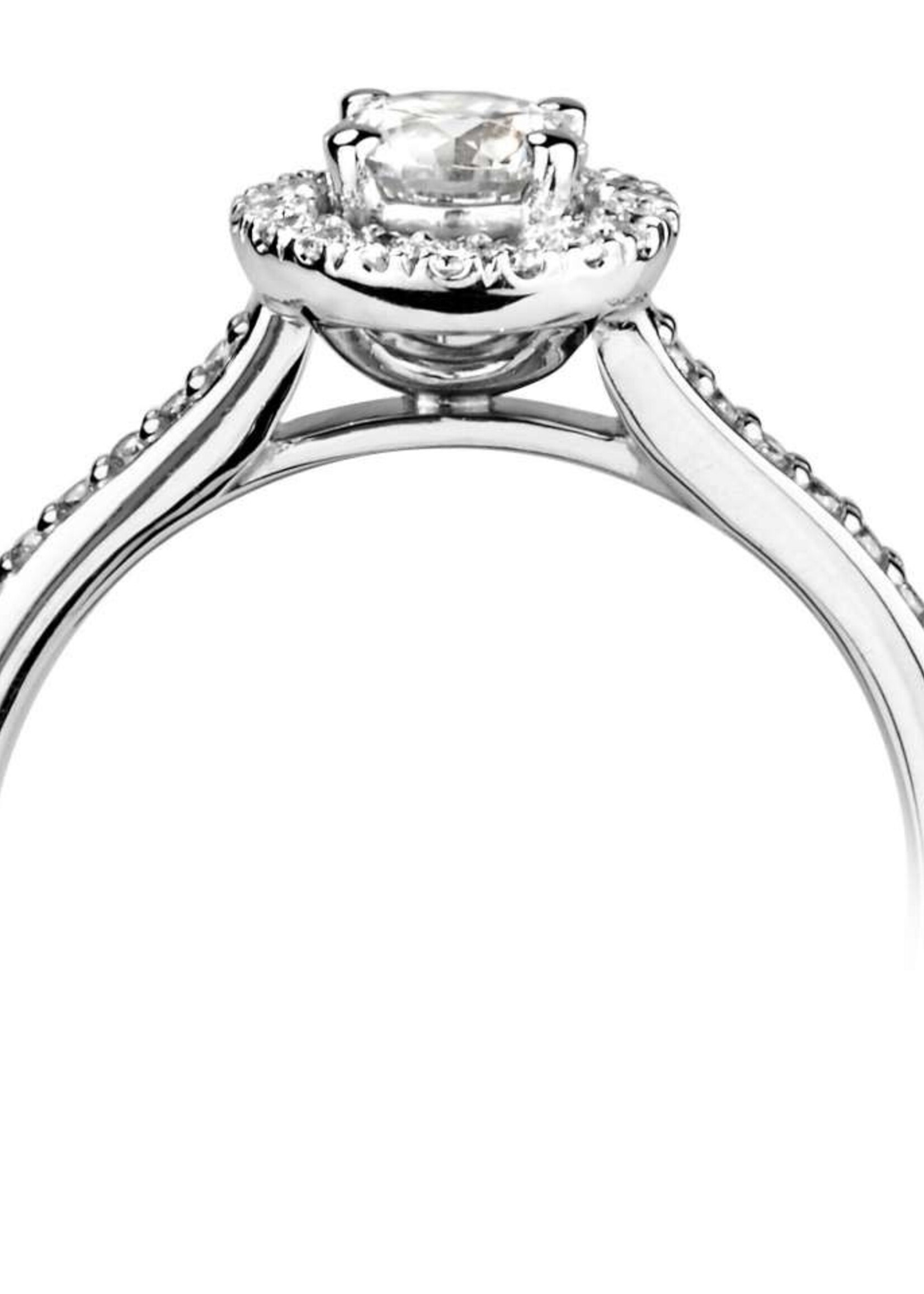 Gouden Haag Jewellery Diamond Halo Ring 18 Kt White Gold 0.71 ct