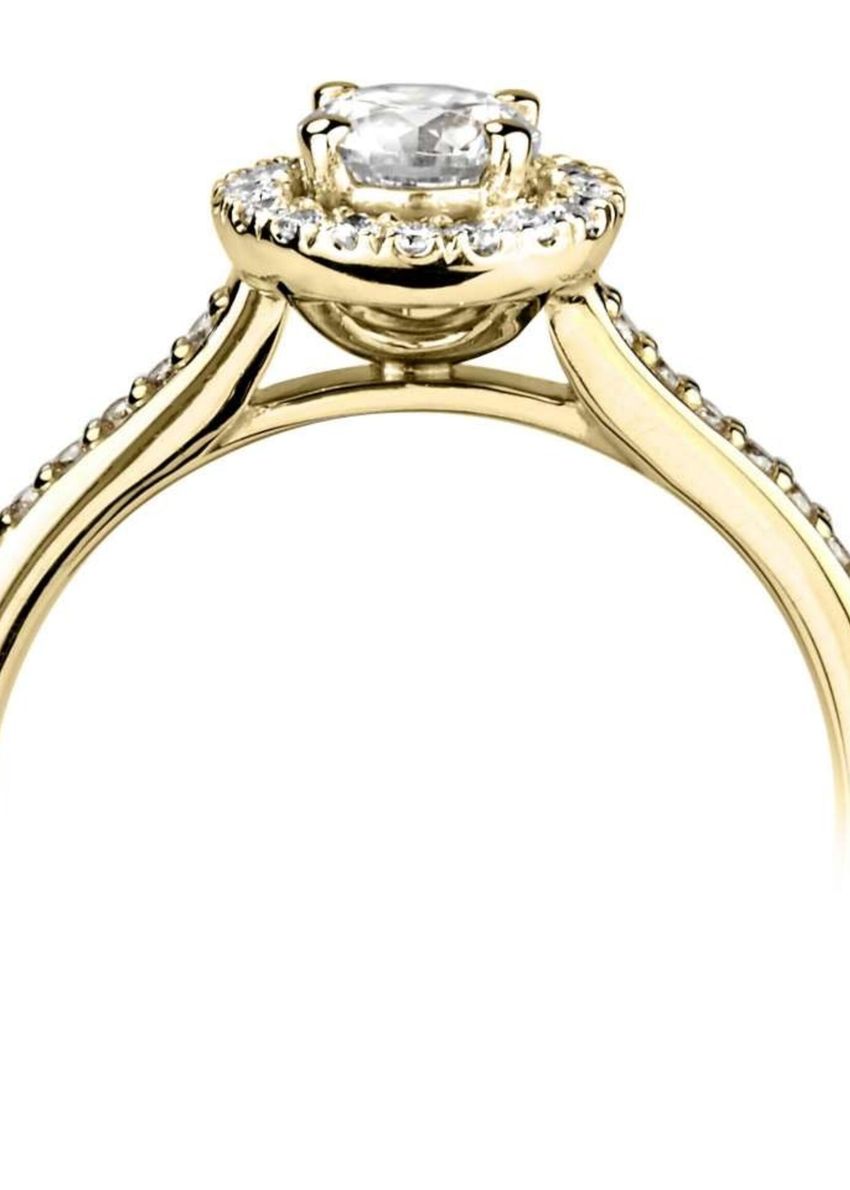 Gouden Haag Jewellery Diamond Halo Ring 18 Kt Yellow Gold 0.71 ct