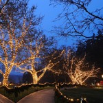 Julelyskæde | 25 meter med 500 lys | Varmhvid | PVC