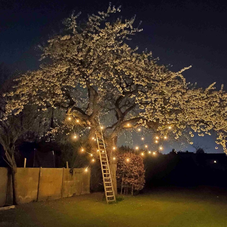 Party lyskæde - Sæt inkl. ravfarvede glaspærer med spiral - 5 watt / Ø60 / med dæmpning (ekskl. lysdæmper)