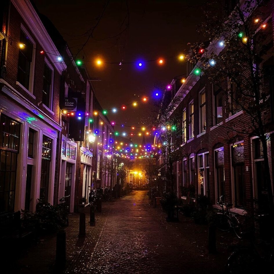 Udendørs lyskæde med kulørte lamper - 48,5 meter med 100 LED-pærer