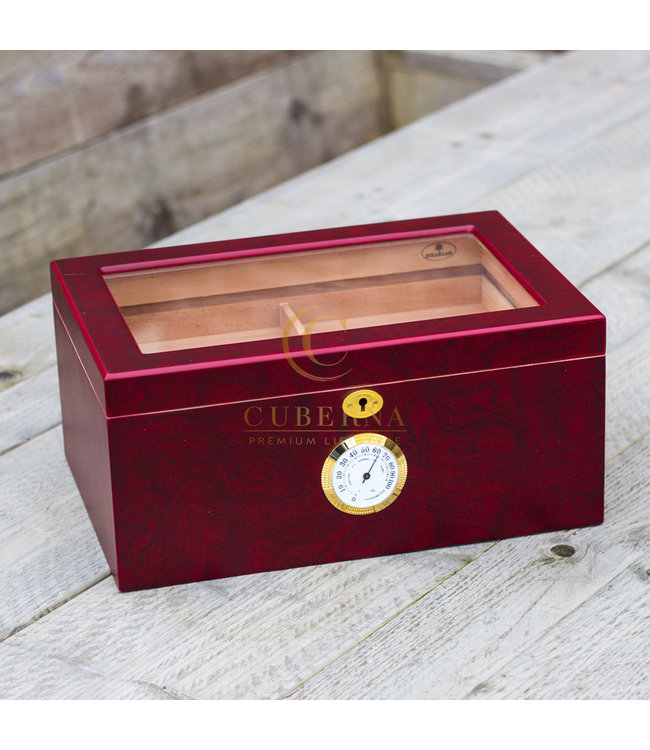 Humidor Cambridge