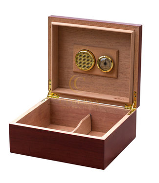 Humidor Nelson cherry