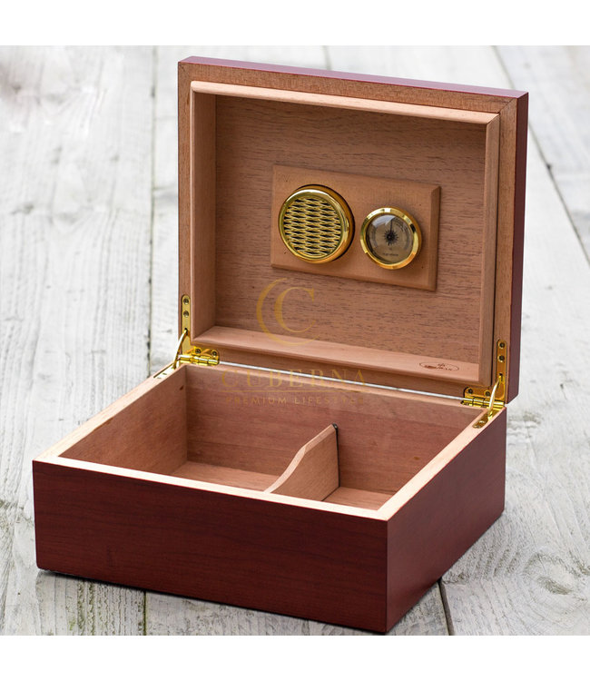 Humidor Nelson cherry