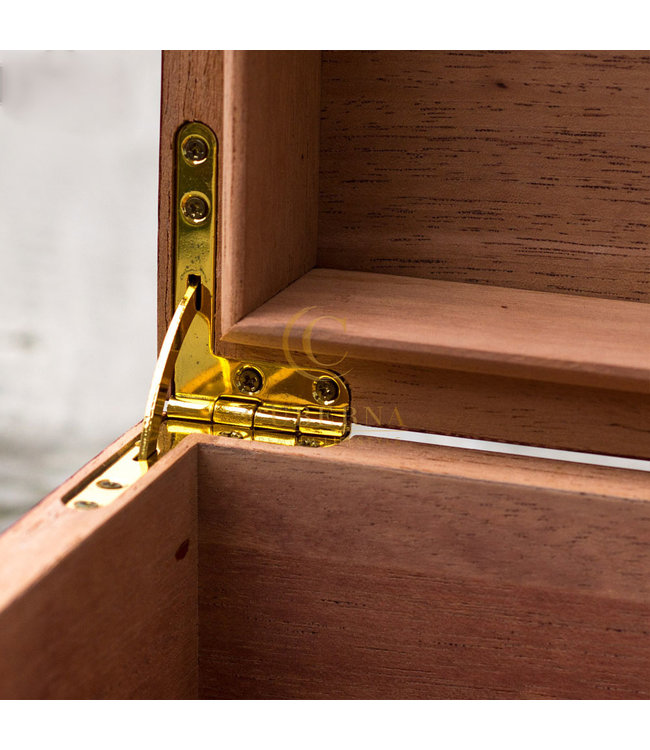 Humidor Nelson cherry