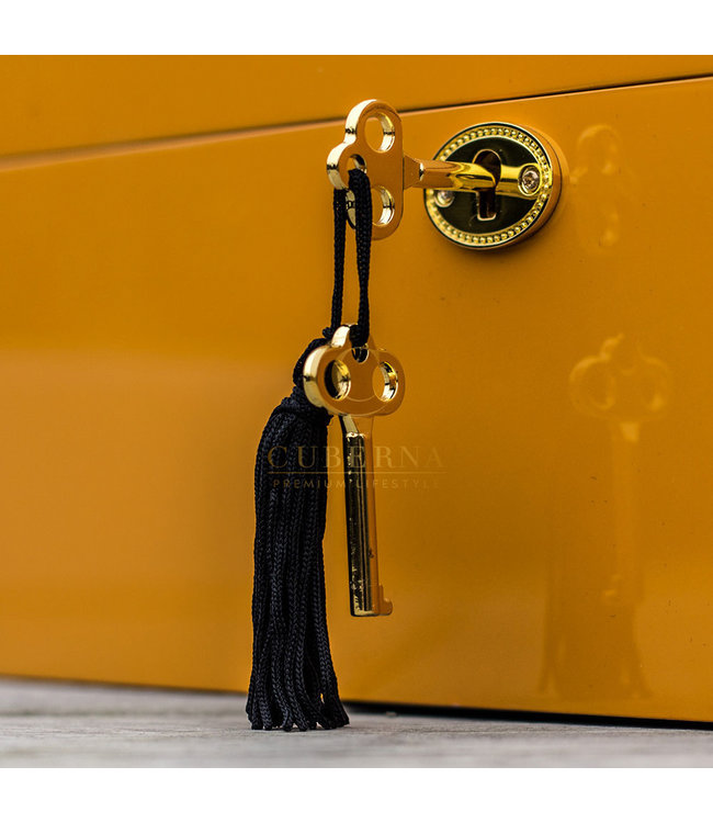 Humidor Cohiba Aficionado