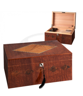 Humidor Inlay hochglanz