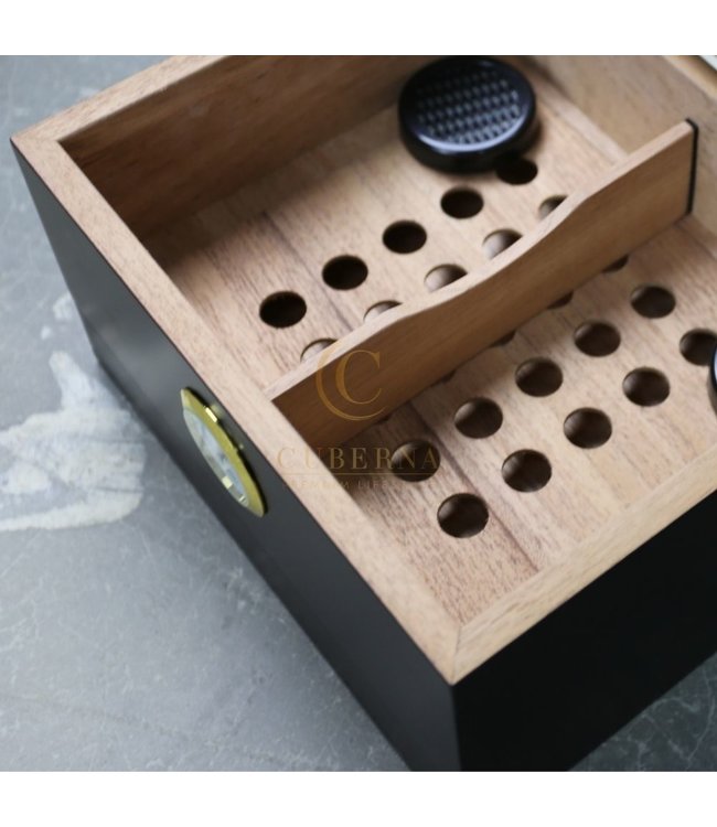 Humidor Elton dunkel Kirsche