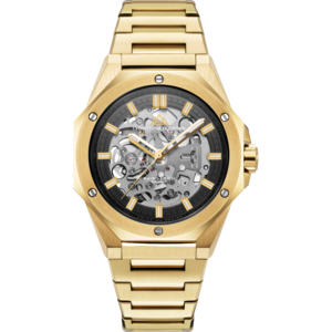 Christophe Duchamp Raidillon Skeleton Automatic - Gold