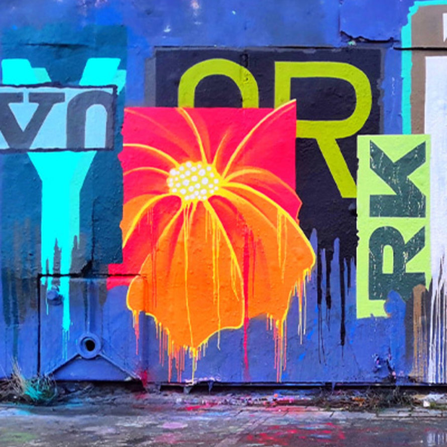 YorkOne