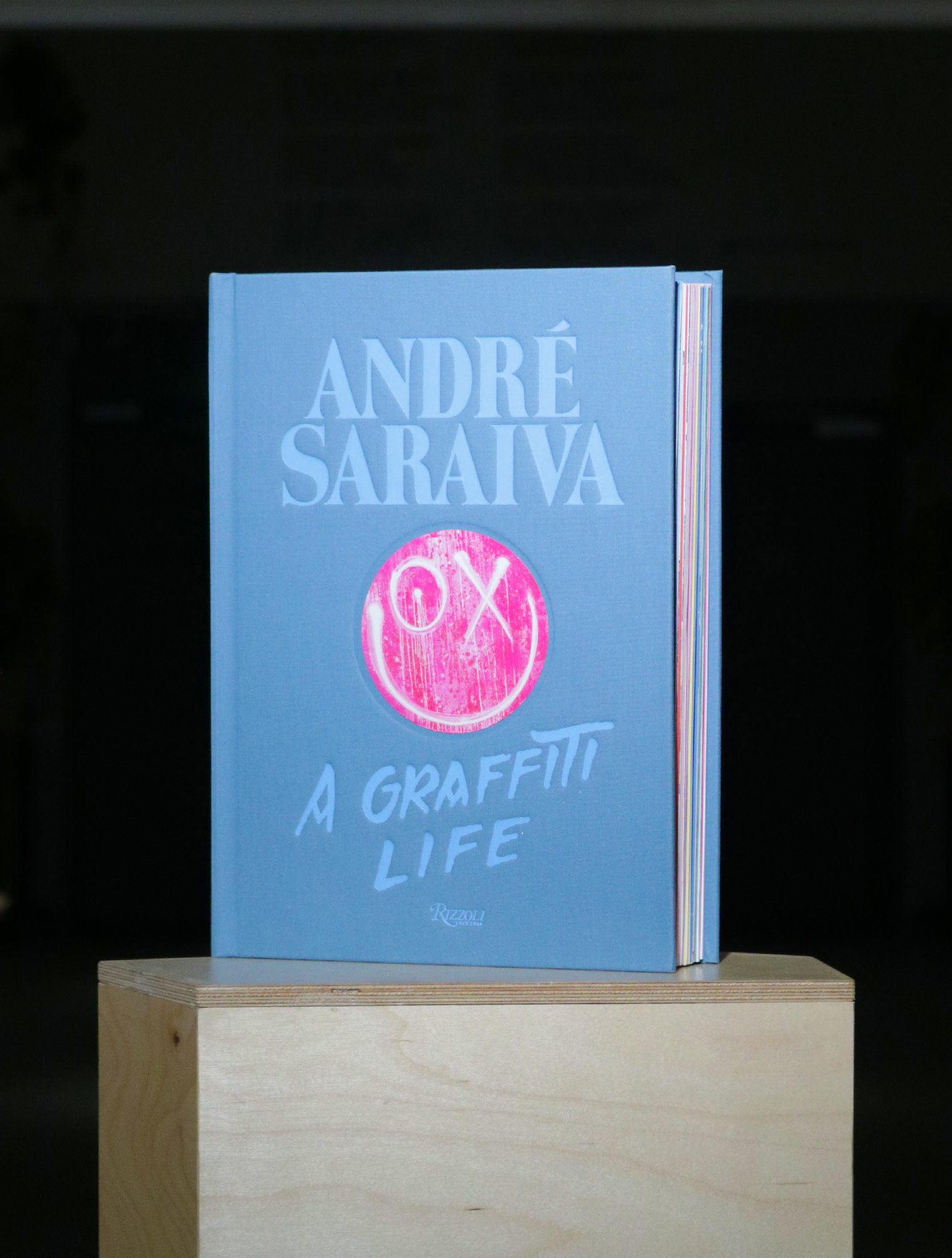 André Saraiva: Graffiti Life (comes in either a vibrant pink cloth- or blue  cloth-cover): Saraiva, Andre, Abloh, Virgil, DANYSZ, MAGDA, Deitch,  Jeffrey, O'Brien, Glenn: 9780847858637: : Books