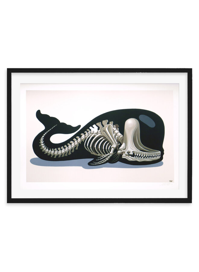 NYCHOS - Sperm Whale Skeleton