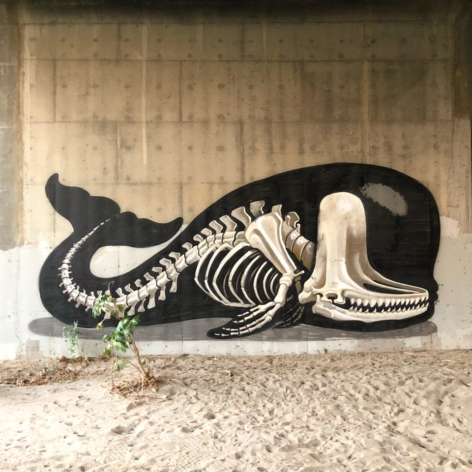 NYCHOS - Sperm Whale Skeleton, Mural 2018