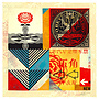 Shepard Fairey - Modular Discourse 43