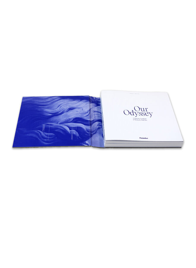 PichiAvo - Our Odyssey: A Selective Catalogue of Works by PichiAvo