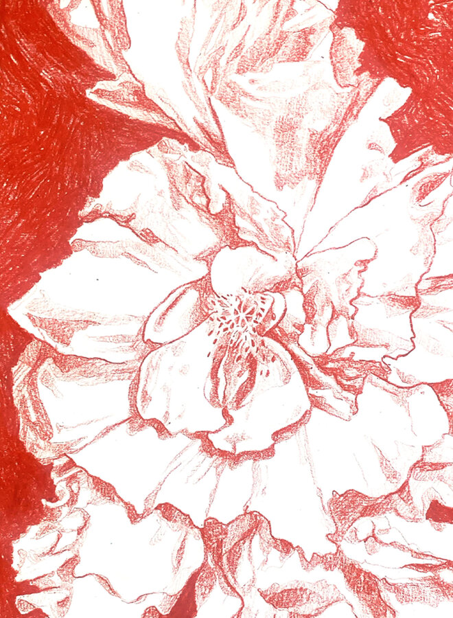 Faith XLVII - A Drawing to Dispell Sadness II