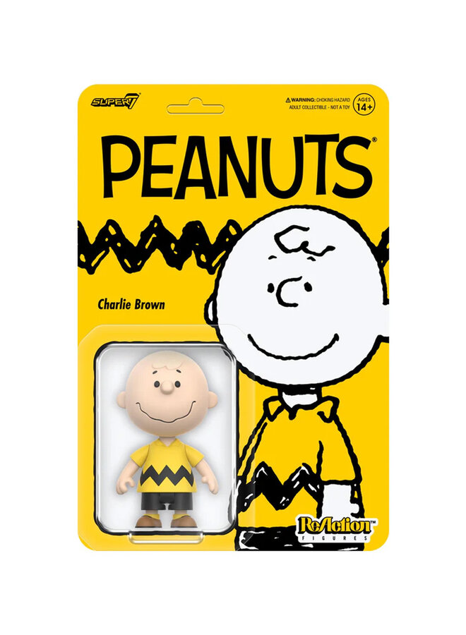 Peanuts: Charlie Brown - ReAction figure