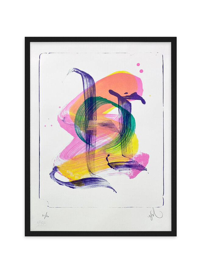 Niels Shoe Meulman - LEFT/RIGHT SHOE, framed lithograph