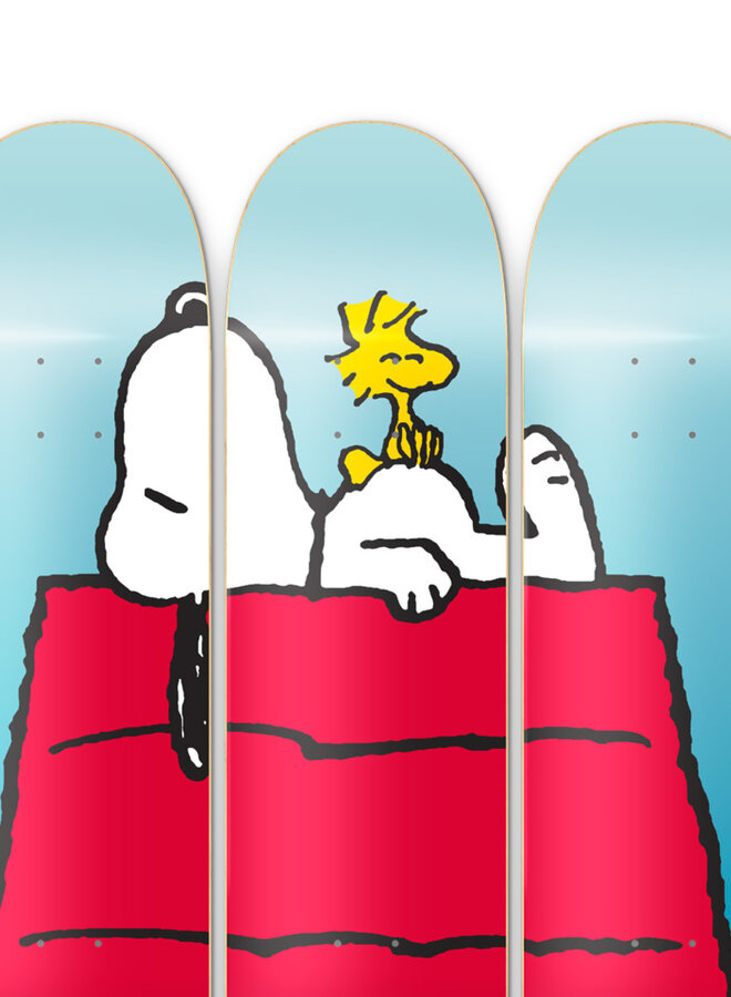 PEANUTS - Daydreaming (set of 3 skate decks)