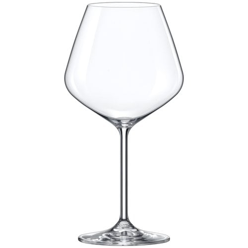 Rona 6st Bourgogne glas glas 69cl Le Vin